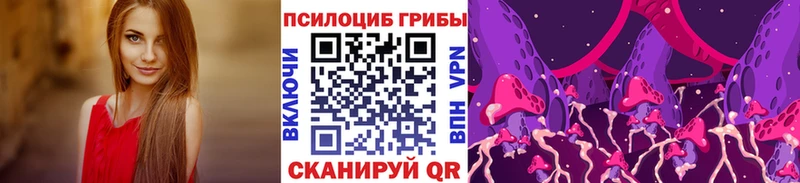 Галлюциногенные грибы Psilocybe Тихвин