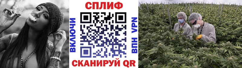 Марихуана ГИДРОПОН  Купить  Тихвин 